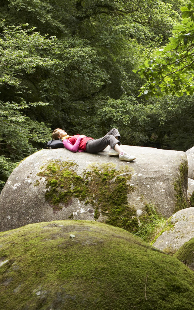 Vue sur les Gorges du Toul Goulic - Centre Bretagne