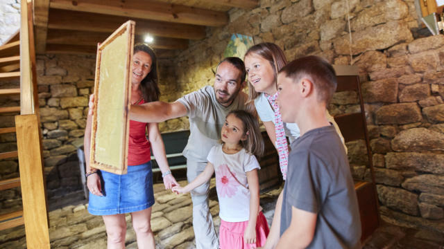 Musée de l'Abeille vivante et la cité des Fourmis
