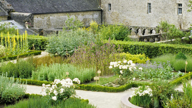 daoulas-jardin-mdicinal-bernard-galeron.jpg