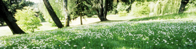 daoulas-jardins-bernard-galeron.jpg