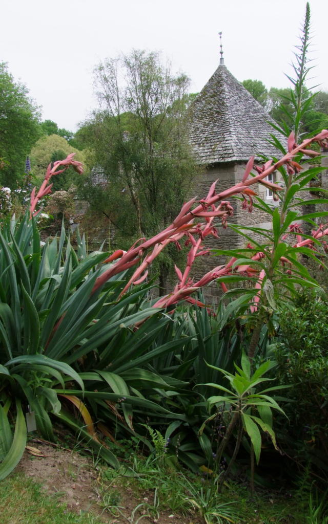 jardins-de-kerdalo-tredarzec-patricia-bell.jpg