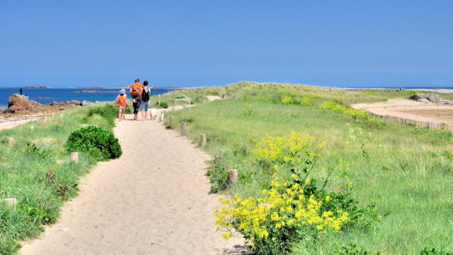 Une famille marche sur le sentier des dunes du sillon de Talbert