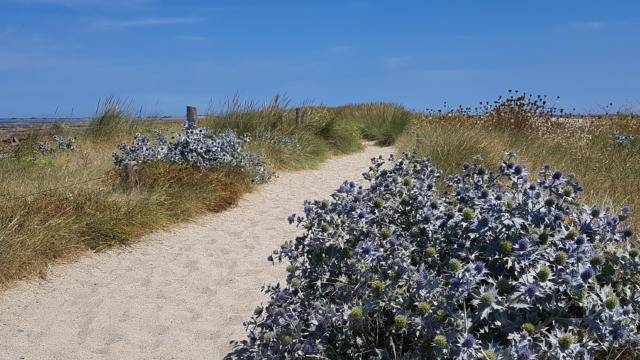Le Sillon de Talbert