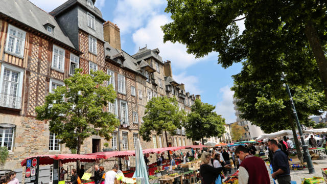 marche-des-lices-jm-3.jpg