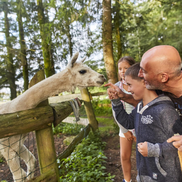 https://www.tourismebretagne.com/app/uploads/crt-bretagne/2018/11/parc-aquanature-le-strou-2-alexandre-lamoureux-640x640.jpg