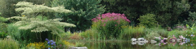 parc-botanique-de-cornouaille-combrit-4.jpg