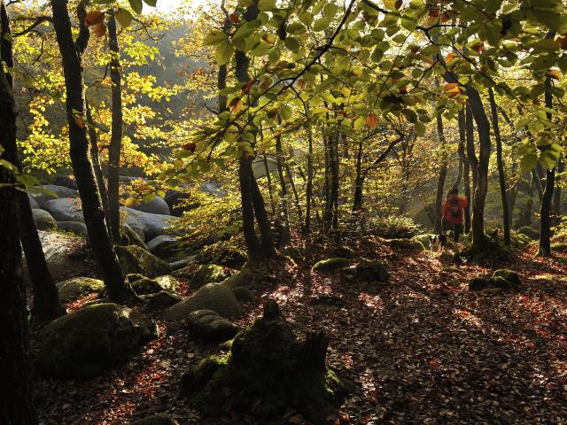 0-les-gorges-du-corong-yvon-bolle.jpg