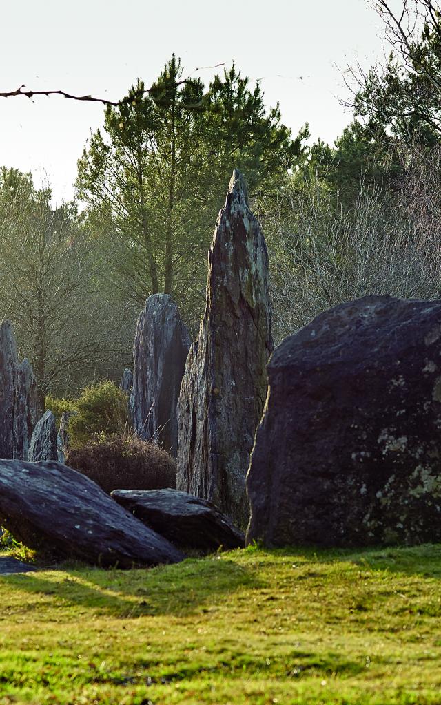 1-landes-de-montneuf-jean-claude-leme.jpg