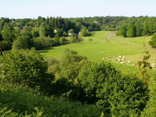 Vallée du Vieux-Vy-sur-Couesnon