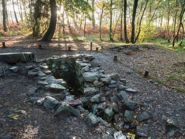 broceliande-5.jpg