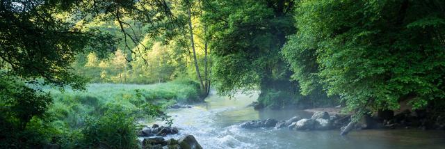 La Vallée du Couesnon