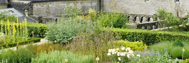 daoulas-jardin-mdicinal-bernard-galeron.jpg