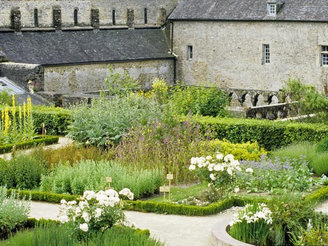 daoulas-jardin-mdicinal-bernard-galeron.jpg