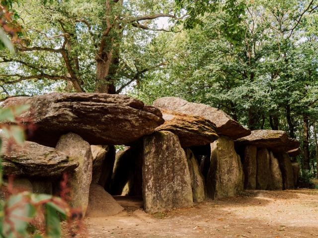 esse-la-roche-aux-fees-3.jpg