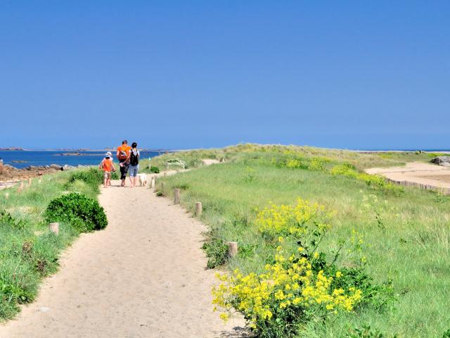 Une famille marche sur le sentier des dunes du sillon de Talbert