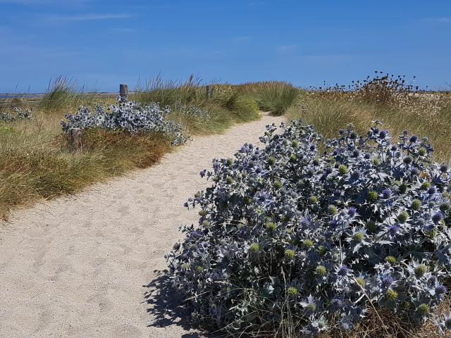 Le Sillon de Talbert