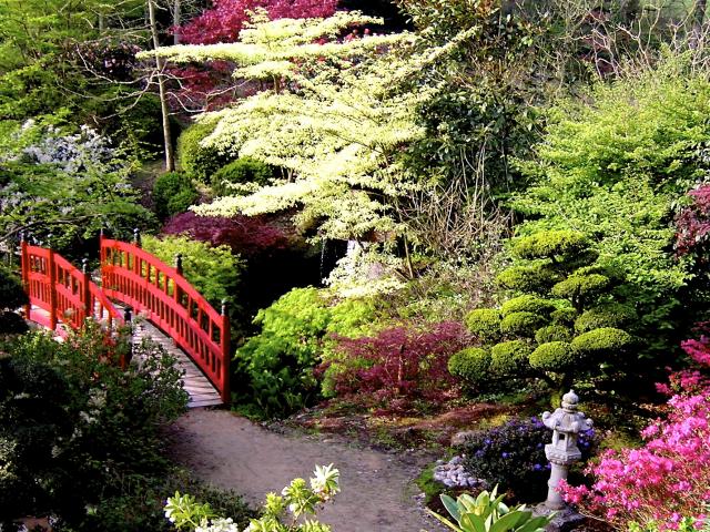 parc-botanique-de-haute-bretagne-le-chatelier.jpg