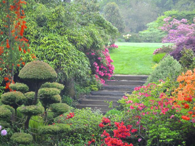 parc-botanique-de-haute-bretagne-le-chatelier-dsc-0034.jpg
