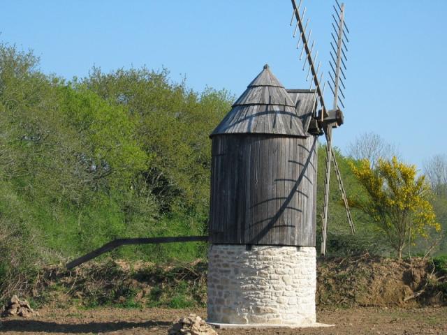 img-5471-rduit.jpg