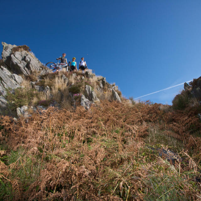 1 Vtt Monts D Arree(2) Diaphaneell Prod