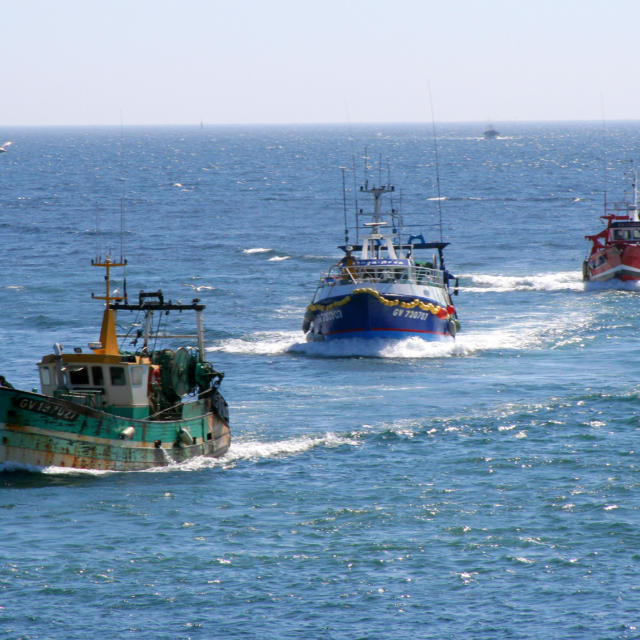 port-du-guilvinec-guilliams-laurent.jpg