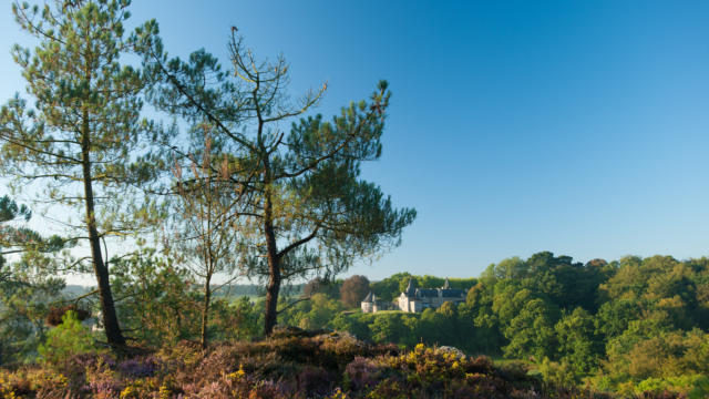 Rochefort en Terre - Landes et château
