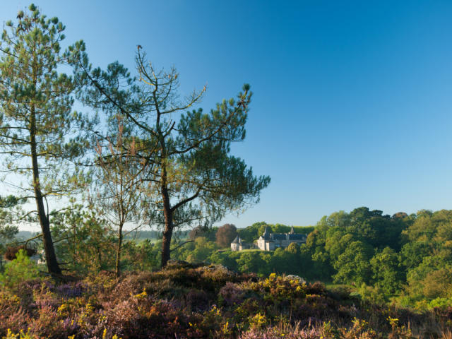 2-rochefort-en-terre-landes-e-berthier.jpg