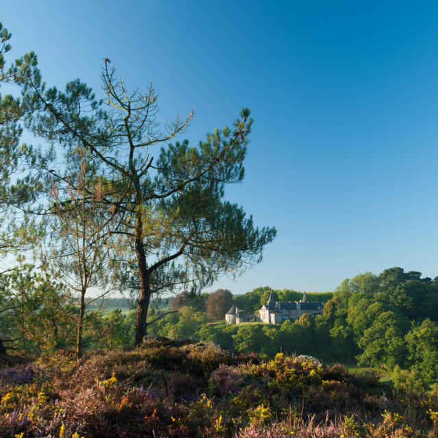 Rochefort en Terre - Landes et château