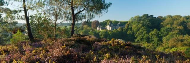 Rochefort en Terre - Landes et château