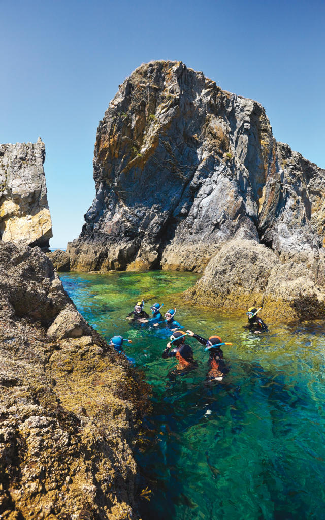 Randonnée palmée - Mer d'Iroise