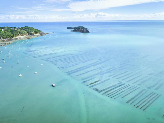 Parcs à huîtres de Cancale