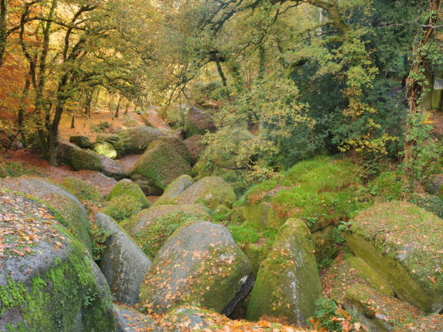 fort-de-huelgoat-emmanuel-berthier-crtb-ac3336-.jpg
