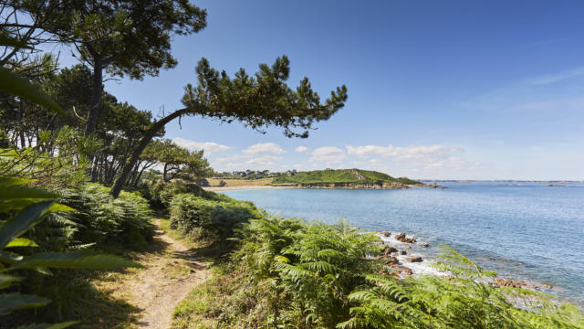Plage de Plougasnou