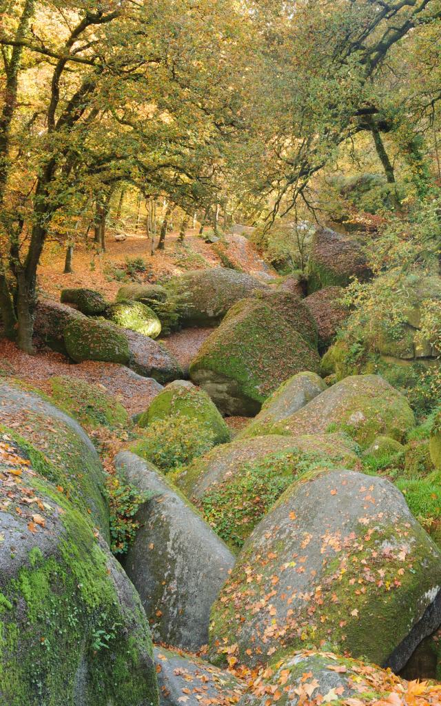 Forêt de Huelgoat - Chaos granitique