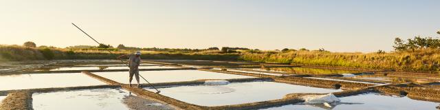 Marais salants - Guérande