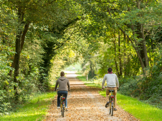 velo-electrique-broceliande-emmanuel-berthier.jpg