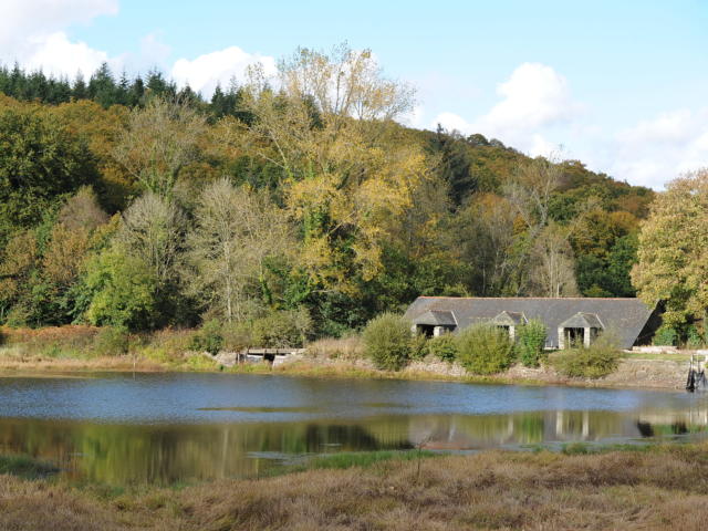 foret-quenecan-etangs-des-salles.jpg