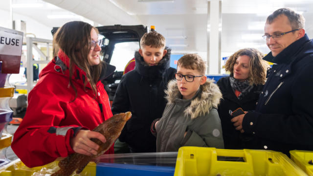 Visite de la criée de Lorient