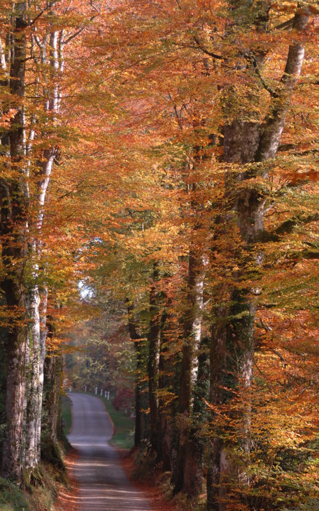 ste-brigitte-01.jpg
