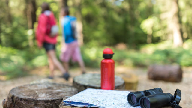 Randonnée dans la Forêt départementale d'Avaugour Bois Meur (22)