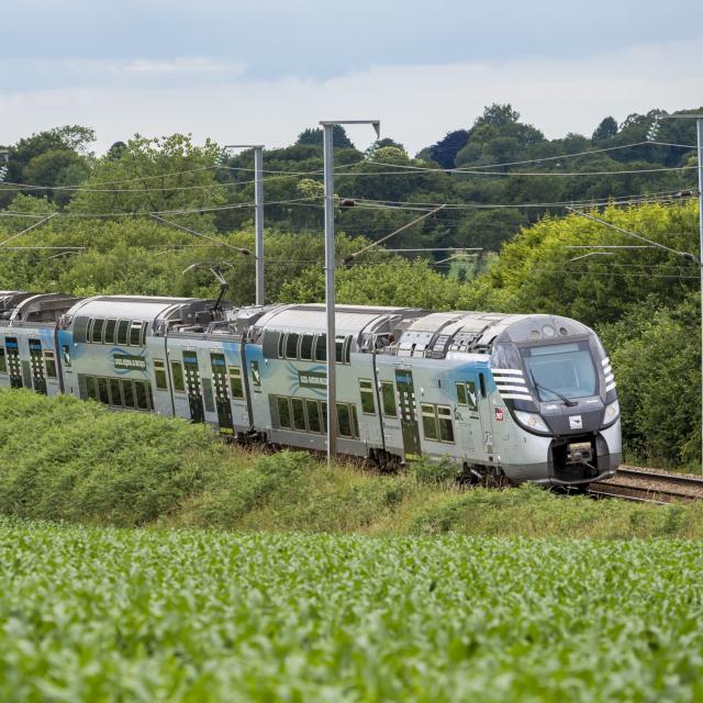 TER Bretagne dans la campagne