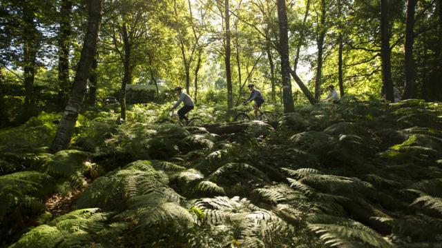 vtt-lac-de-gurldan-derennes-yannick-j2.jpg