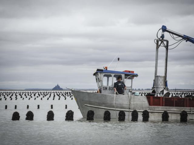 Les Moules De Bouchot Tourisme Bretagne