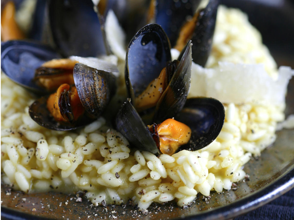 Bouchot mussels Brittany tourism