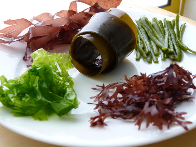 Algues alimentaires