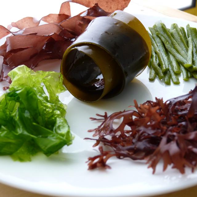 algues-alimentairescopyrightceva.jpg