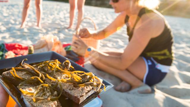 Pique-nique sur la plage, rillettes de poisson et algues