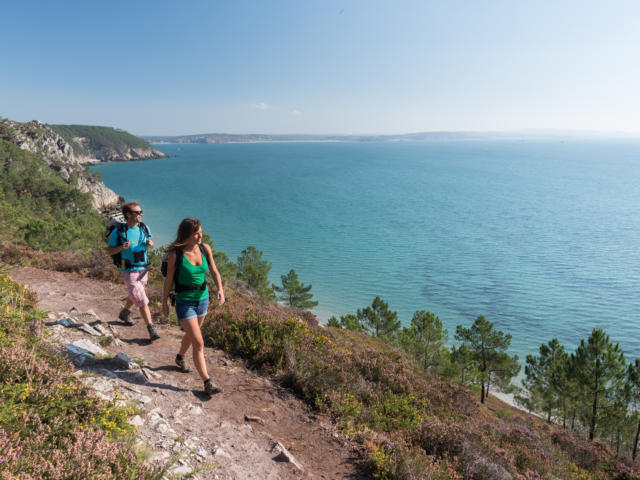 Randonnée le long de la côte de la Presqu'île de Crozon parmi la bruyère et les pins