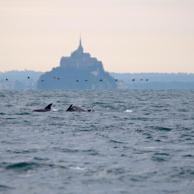 Mont-Saint-Michel Bay | Brittany tourism