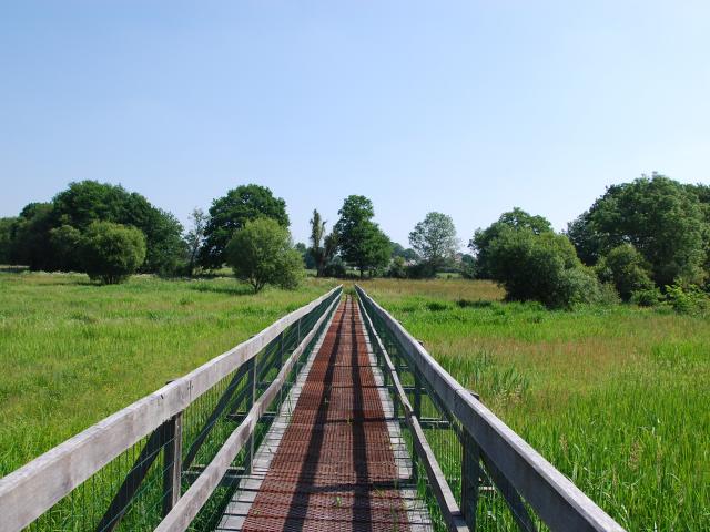 Marais de Gannedel